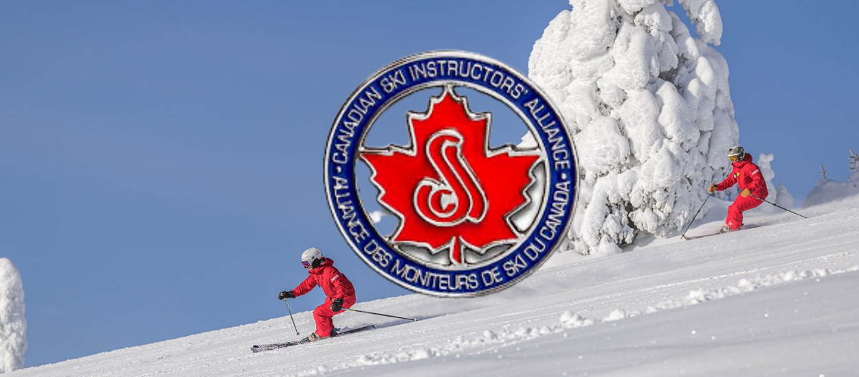 CSIA Appoints Beth Potter as Interim Managing Director
