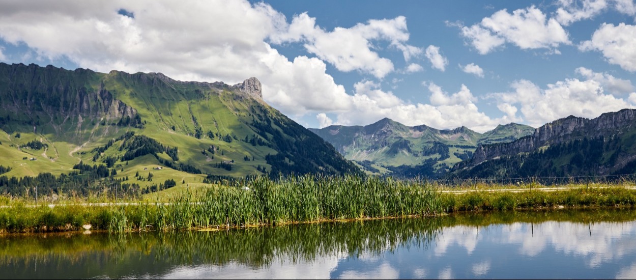 Marbachegg ski lifts: Summer record, strong annual result and positive future prospects