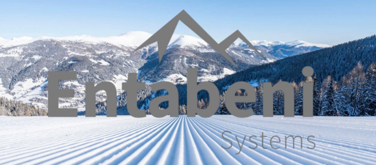 ENTABENI ADDS ELEVEN TALENTED TEAM MEMBERS TO GROWING STAFF