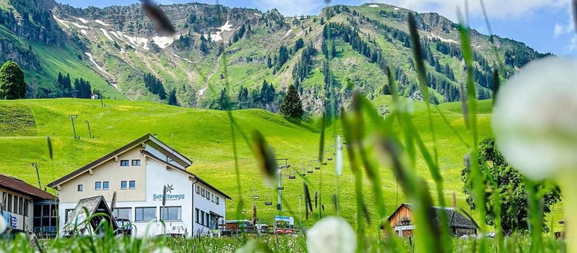 Schetteregg Files For Insolvency