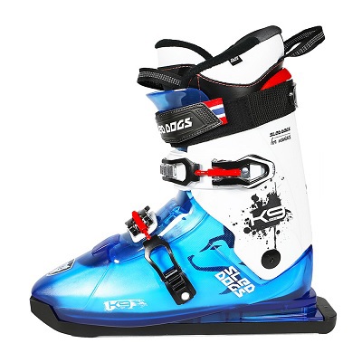Sled Dogs Aims To Be The 'Third Wintersport'
