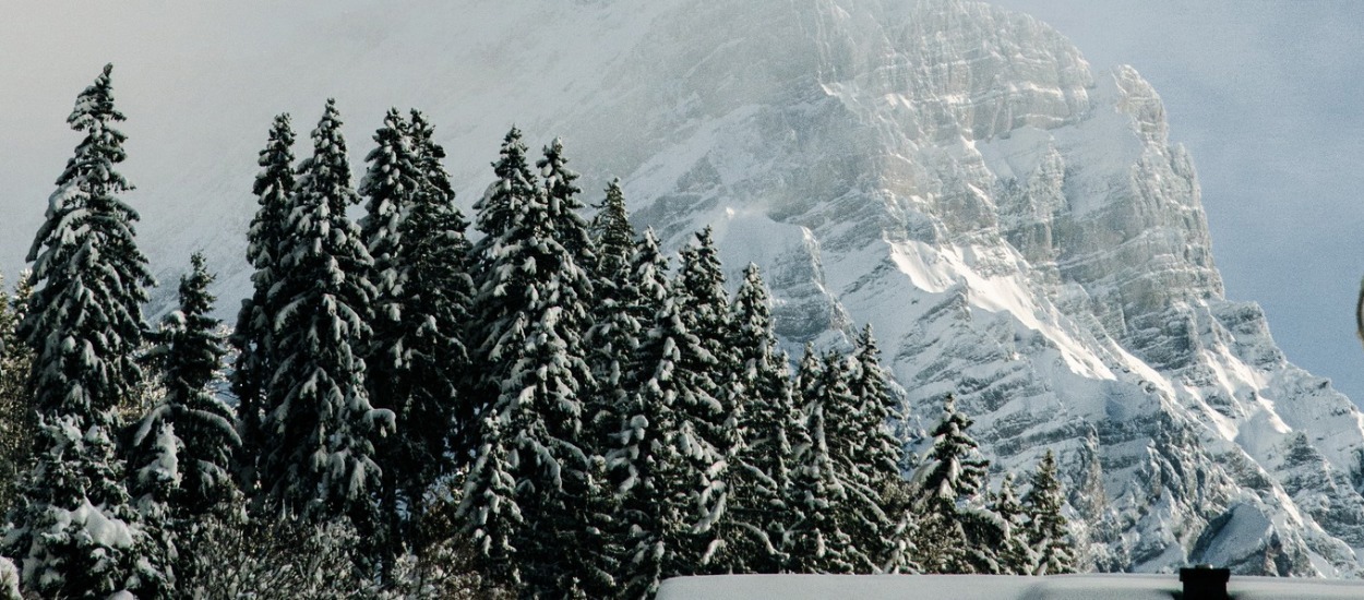 The World’s Tiniest Champions: Villars Hosts First "Little Rockets" World Championships