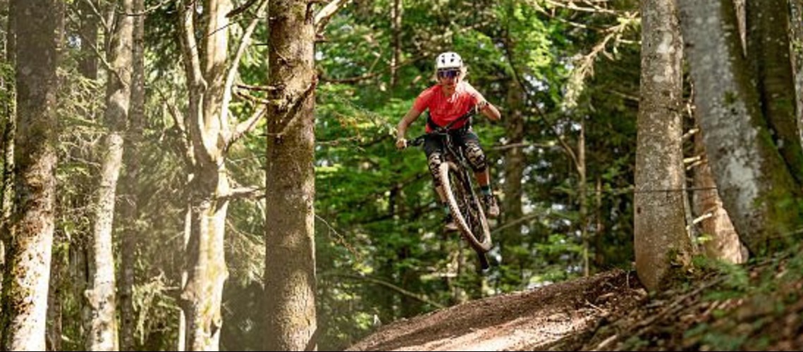 Alpine Club Calls For More Legal Mountain Bike Trails In Austria