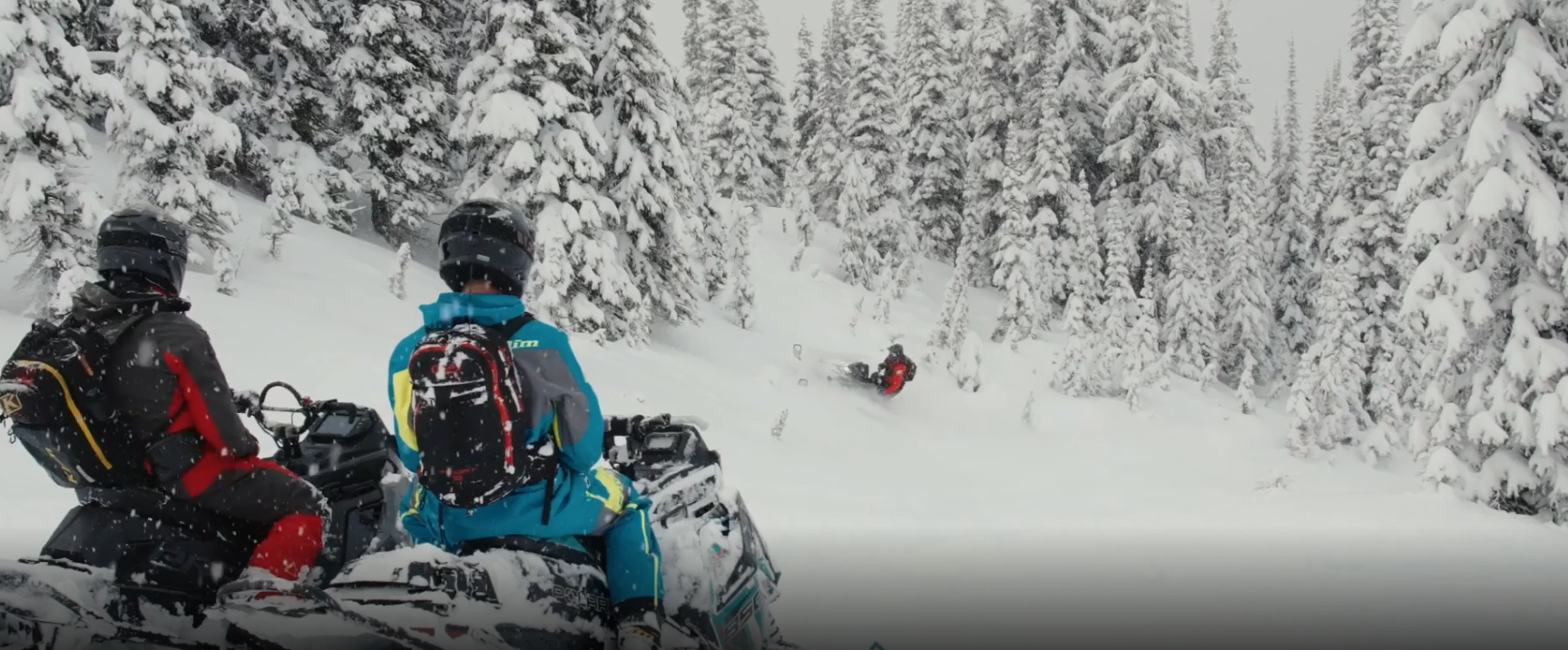 New Ownership Team Acquires BC's Grizzly Lodge