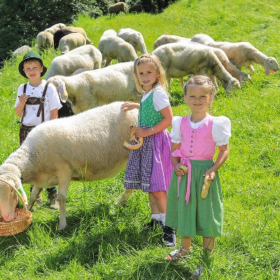 Hauser Kaibling Highlights The Invaluable Role Of Sheep In Slope Maintenance... Really