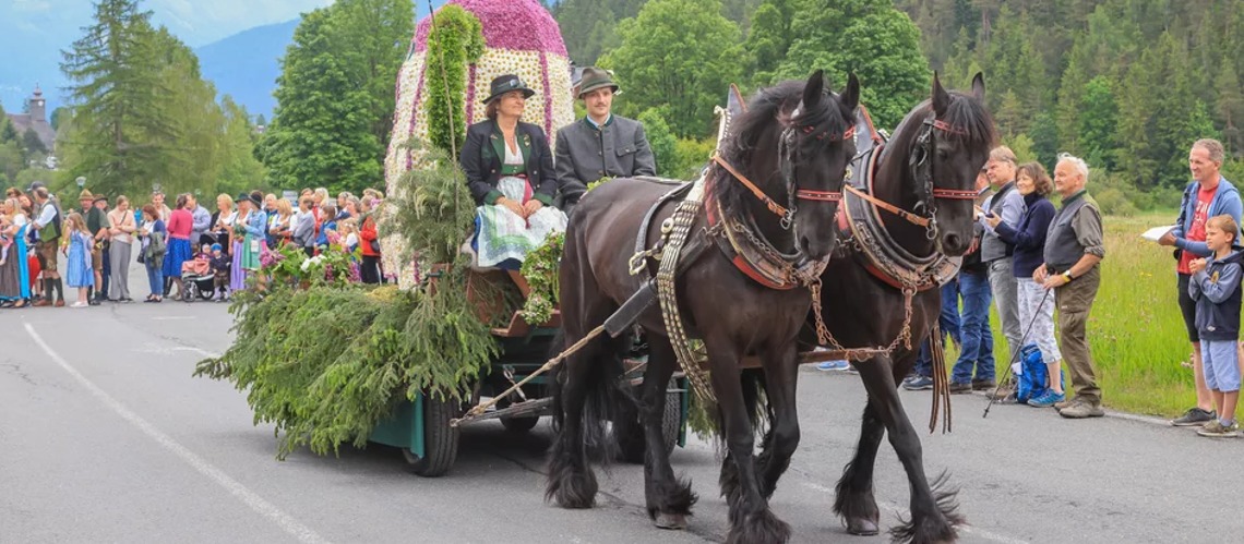 Spring Horse Festival To Take Place Again In Ramsau Am Dachstein.