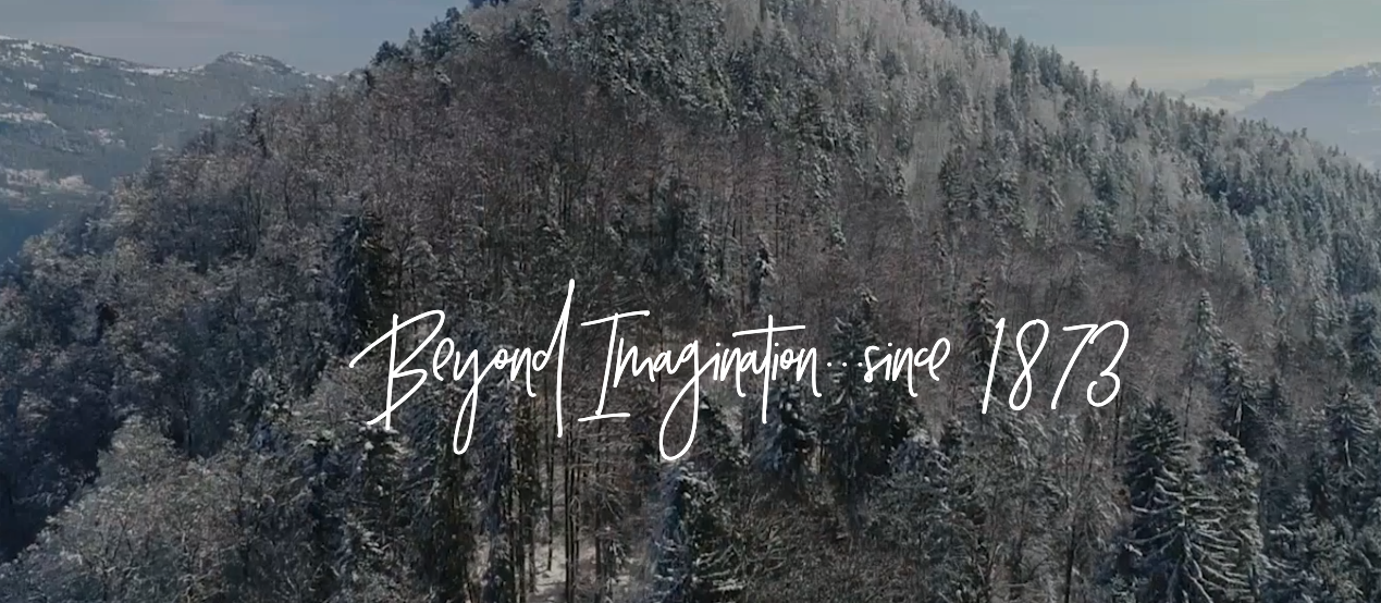 Enjoy Snow Without Skis At Bürgenstock Resort Lake Lucerne 