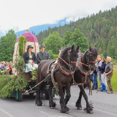 Spring Horse Festival To Take Place Again In Ramsau Am Dachstein.