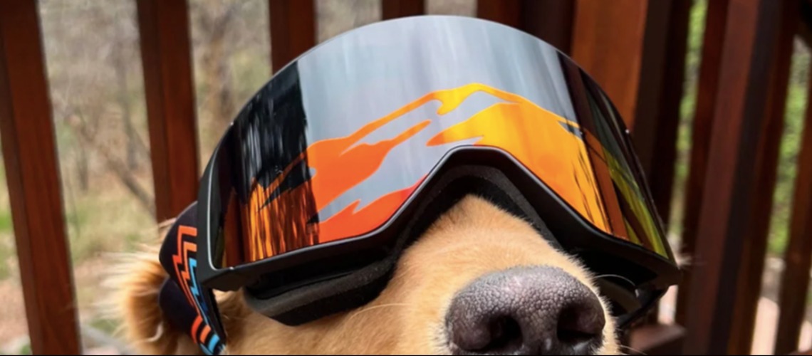 ALL SZN Launches Holographic Goggle - Something Unique