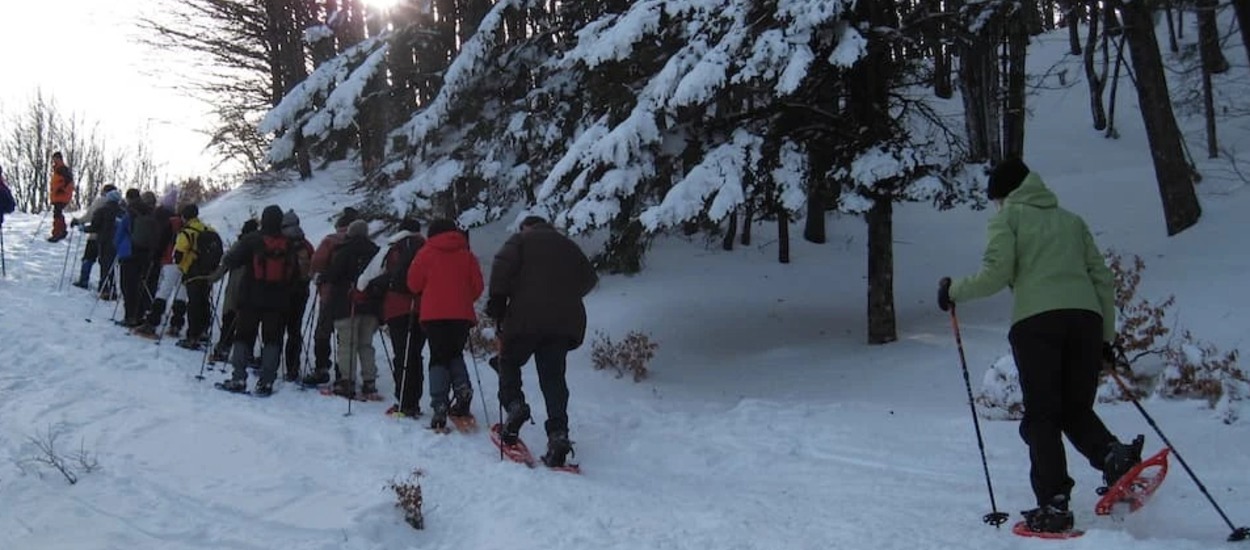 €1.2M Ski Lift Upgrade Awarded for Campigna: Graffer Srl to Replace Historic 'Capanna' Surface Lift in Foreste Casentinesi National Park