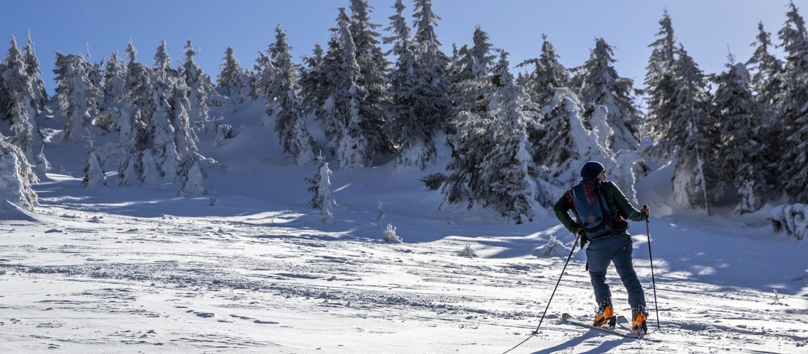 715,000 visits to Lower Austrian ski resorts thanks to artificial snowmaking.