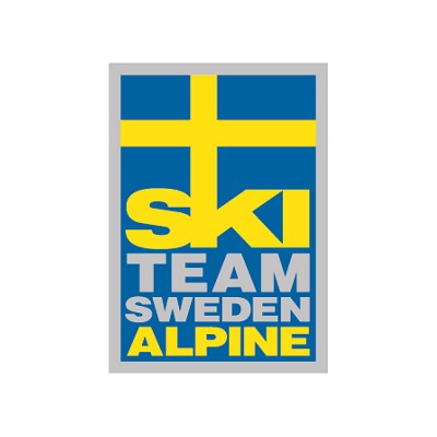 Stefan Dahlsten New Sports Director For Alpine And Ski Cross At The Swedish Ski Association