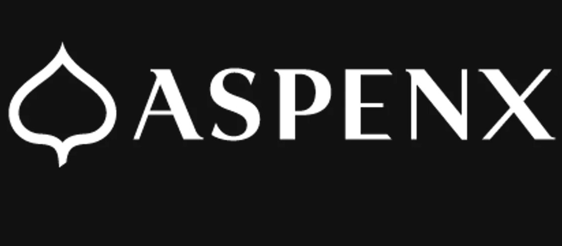Aspen Skiing Company Names Darcy Loeb As Chief Operating Officer For ASPENX