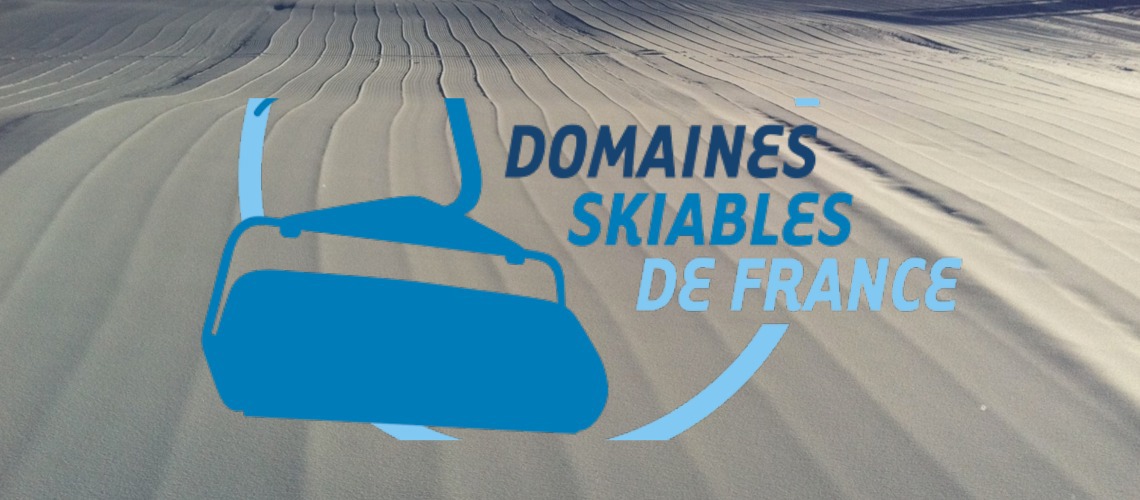 Anne Marty Elected President Of Domaines Skiables De France