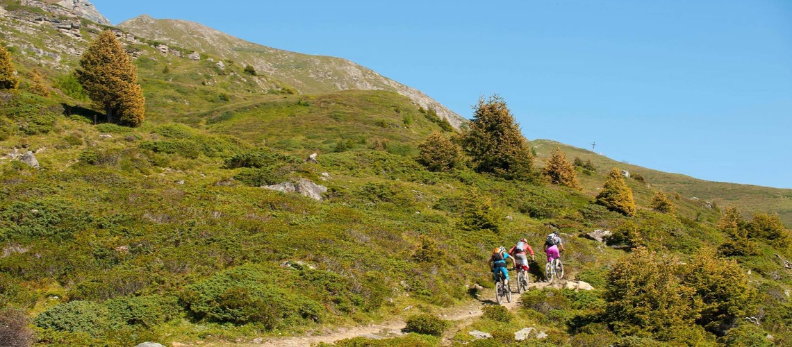 Swiss Lift Co's Consider Mountain Bike Trail Operations