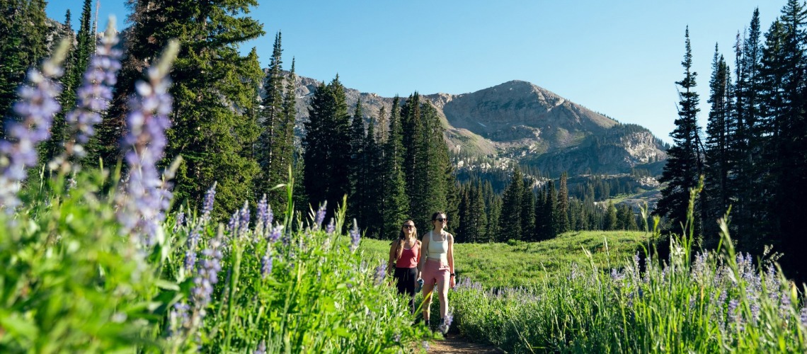 Summer 2025 Fun Starts At Utah’s Ski Resorts